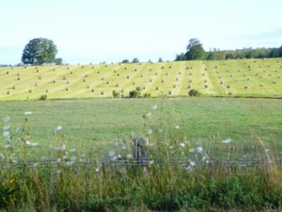 Growing Up in Farm Country Image